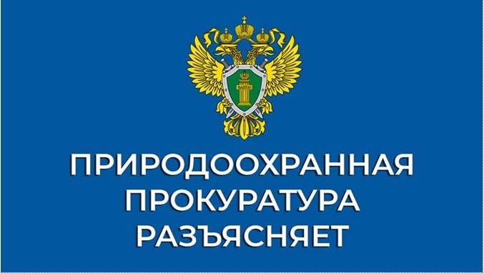 Ответственность за нарушение правил пожарной безопасности в лесах.